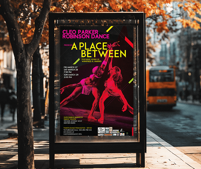 Outdoor Poster design for Cleo Parker Robinson