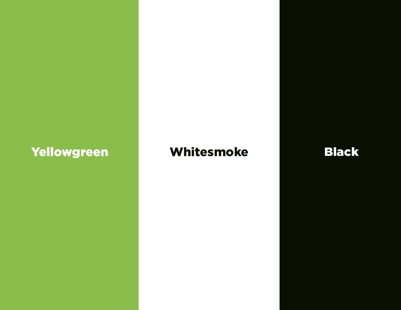 Annual Report Cover for Women Foundation of Colorado